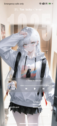 Anime OS