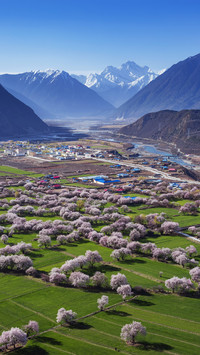 How to adapt to the plateau response to Tibet 8