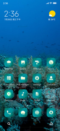 Ocean