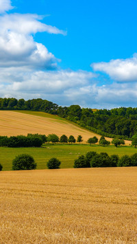 Rural landscape agricultural picture
