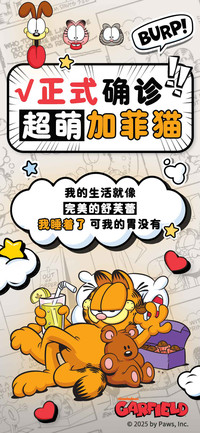正式确诊超萌加菲猫