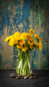 Top 10 Common Mistakes When Growing Flowers 7