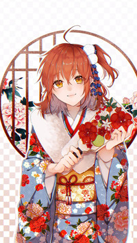 节日盛装