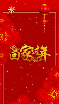 回家过年