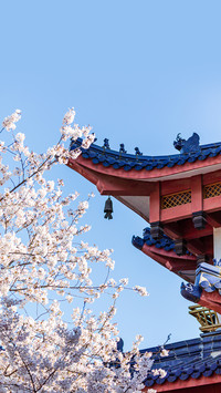 檐铃 古建筑中的美学符号