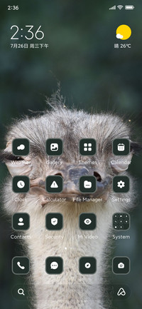 Ostrich