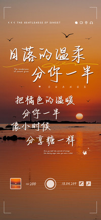日落的温柔分你一半