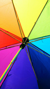 Pride Month (17)