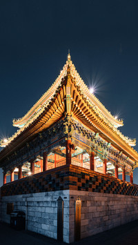 Meeting the centennial palace museum 2
