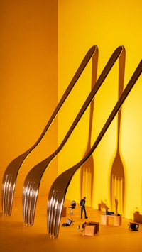 Silver Fork Shadows Create a Giant World for Tiny Man