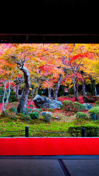 Autumn Scenery On Earth