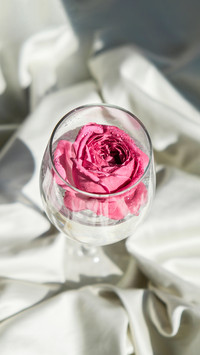 Wine glass filled with pink flower petalson on silk fabric