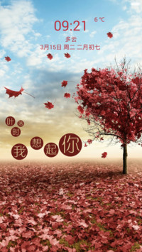 叶落时我想起你（全图标+动态桌面）
