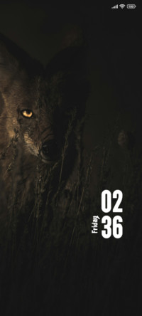 Jackal