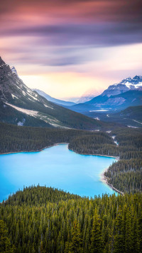 Psychedelic colors at sunset over iconic Peyto Lake