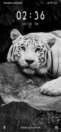 Tiger Dark_3MDS
