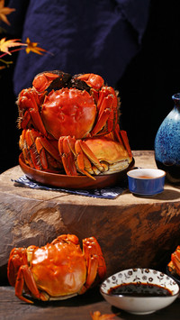 Can crabs eat when they are dead 61