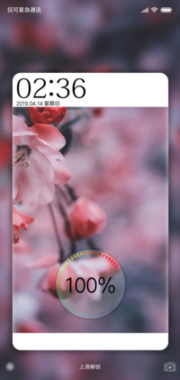 樱花季