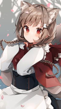 我的猫耳朵