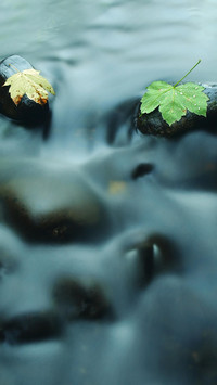Beginning of Autumn