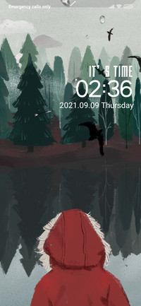 Foggy forest