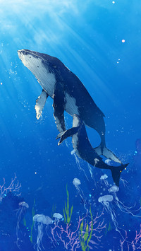 Illustration 719