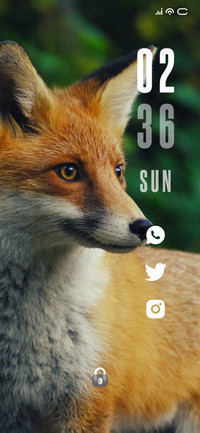 Foxy Look