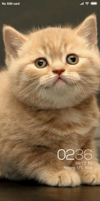 Meow