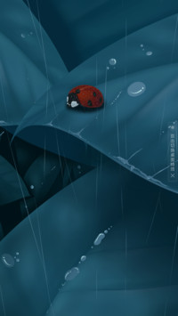 夜阑听雨