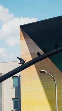 清新自然城市建筑风光