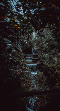 Nature B6 (29)