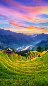 Southeast Asian landscapes