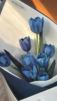 Tulips