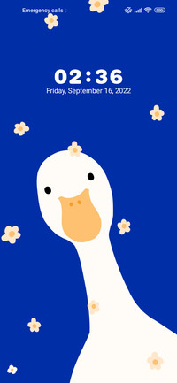 duck