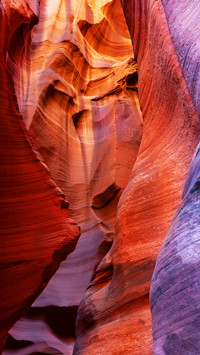 Come to Arizona to see the Grand Canyon