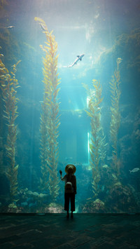 Underwater world