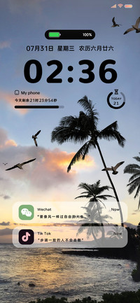 INS 落日椰林