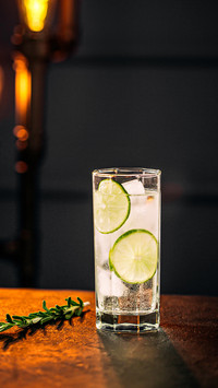 Fresh gin tonic cocktail with rosemary on the round tray