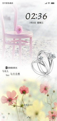 阳光下的爱情