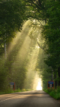 Light and shadow