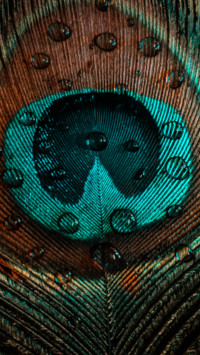 Praveen Jain B3 (10)