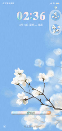 玉兰花开