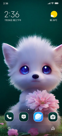 Baby Fox