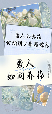 爱人如同养花