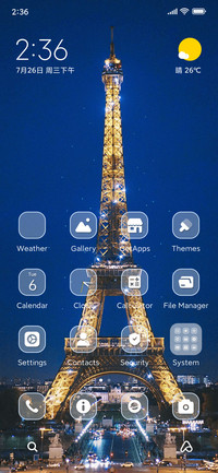 Paris Night