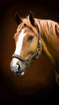 Five stories of good horses and heroes 10
