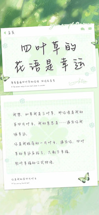 四叶草的花语是幸运