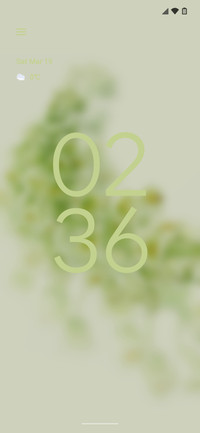 Android 12 -P.A