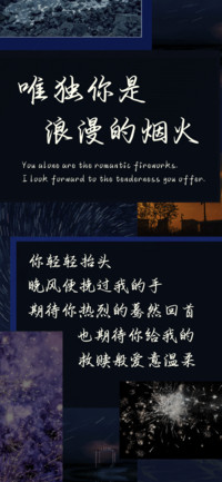 唯独你是浪漫的烟火