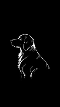 狗狗先生-拍信图库